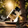 Elegant Evening Scent - Carolina Herrera Gold Incense