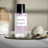 Gris Dior by Dior – Premium 250mL Eau de Parfum gift set with accessories.