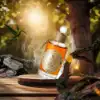 Petra’s Heritage A Luxurious Blend of Spices & Warmth