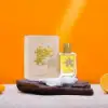 Micallef Signature A Captivating Fragrance Journey