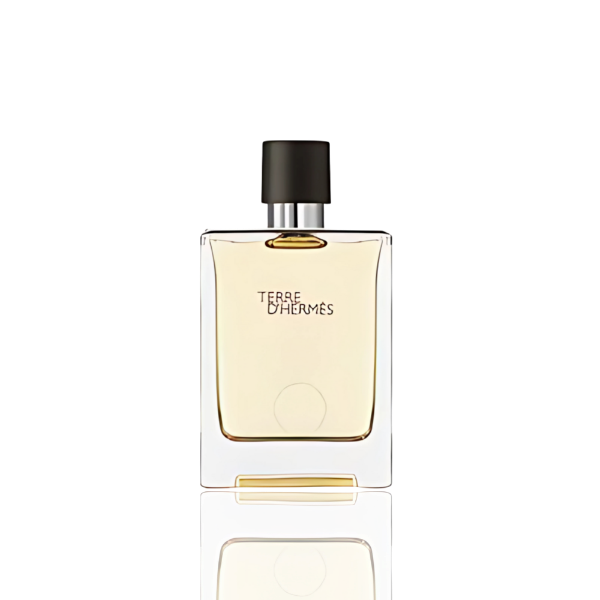 Terre d'Hermès by Hermès – A Classic Men's Fragrance