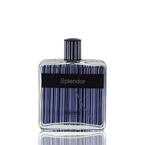 Long-Lasting & Versatile Perfume for Everyday Use