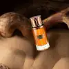 Elegant Chopard Amber Malaki 80ml Perfume for Him