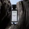 Artemios Fabolous Life Fragrance Spray 110ml"