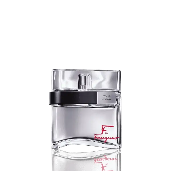 Ferragamo F Pour Homme EDT 100ml Spray for Men