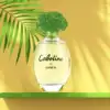 Timeless Eau de Toilette by Parfums Grès - Cabotine 100ml