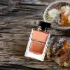 The Only One by D&G 100ml EDP spray in updated pack