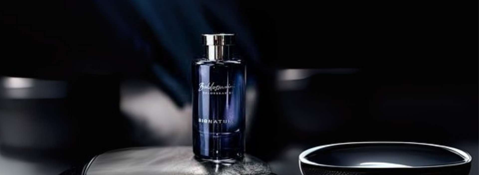 Picture for manufacturer Baldessarini