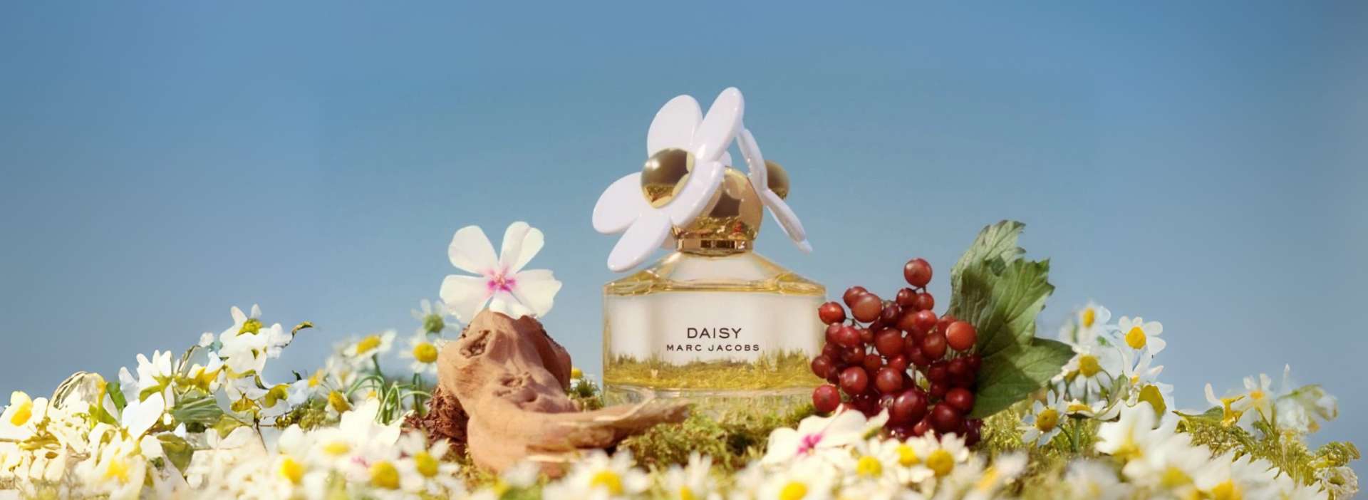 Picture for manufacturer Marc Jacobs