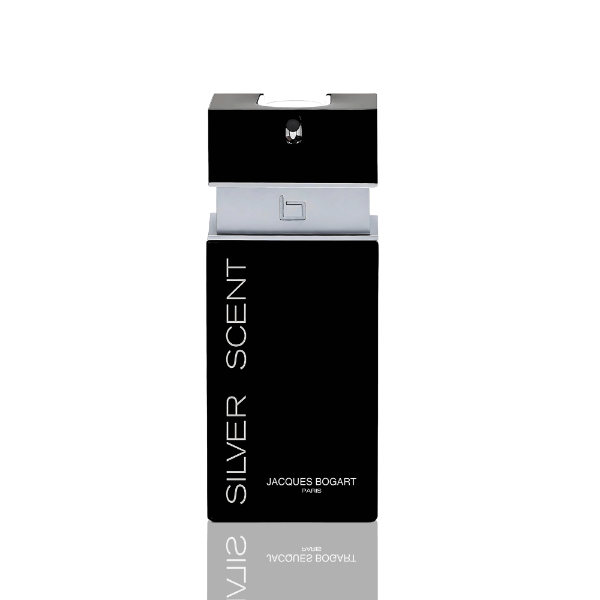 Silver Scent men’s perfume with citrus and woody notes