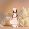 Citrus heart of pear blossom and rose over soft woody base