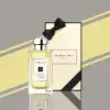 Refreshing Citrus & Herbal Fragrance with Lime and Basil