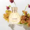 Elie Saab Perfume – Elegant & Bold Elixir EDP