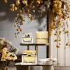 Dolce & Gabbana The One 75ml EDP – Ladies' Scent