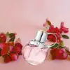 Azzaro Wanted Girl Tonic 80ml – Women's Fragrance Spray