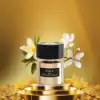 Tiziana Terenzi Bigia Unisex Luxury Fragrance