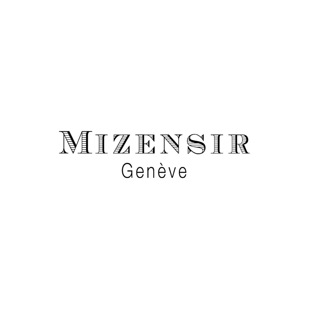 صورة الشركة Mizensir