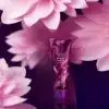 Berry Santal Body Lotion by Victoria's Secret – 236ml