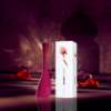 Soft floral scent – Kenzo Amour 100ml