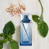 Men's fragrance Guess Night Homme