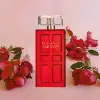 Red Door perfume 100ml spray