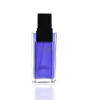 Fresh and timeless Alfred Sung Homme EDT 100ml