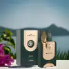 Armaf The Lion's Club Feroce 100ml Eau de Parfum for men