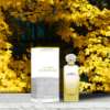 Elegant garden-inspired fragrance