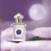 Feminine and confident fragrance – Insolence by Guerlain