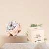 Signature women’s perfume – Emblem Lady