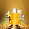 Luxurious, sun-kissed fragrance with ambergris depth
