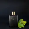 Warm base of musk, amberwood, and patchouli