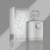 Fruity‑woody scent Supremacy Silver 100 ml EdP men’s fragrance