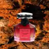 Warm spicy amber Artemios The Night Treasor bottle